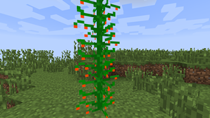 The Coffeeplant