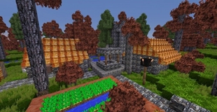Village