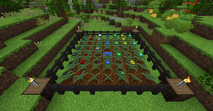Agricultural Expansion