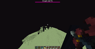 Kill the ender dragon