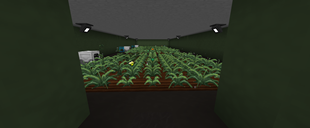 MagicalCrops