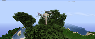 Redwood Observation Deck