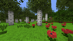 Birch forest
