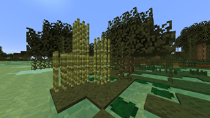 Swamp