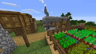 Village