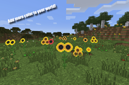 Add more color to your world!