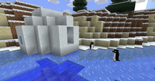 Adélie penguins near igloo