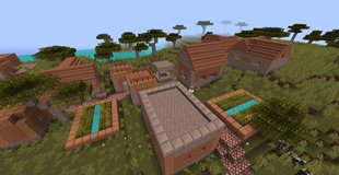 Village