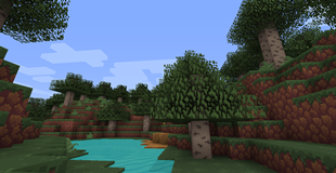 landscape