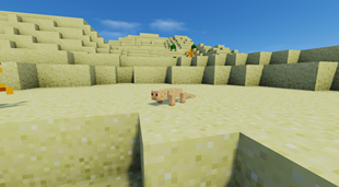 Fauna