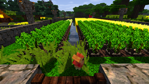 Farm Chick