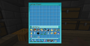 chest