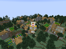 village