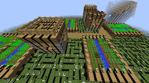 Village