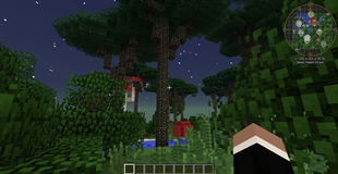 Twilight 1