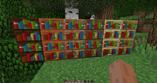 Bookshelves