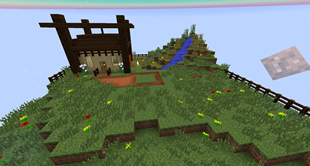Hoarding Island
