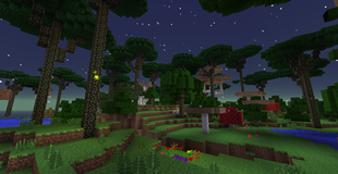 Forest