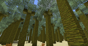 Palms Biome