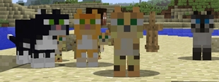 Custom Spawn Eggs
