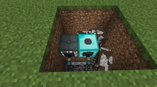 milking of cows 1.10.2