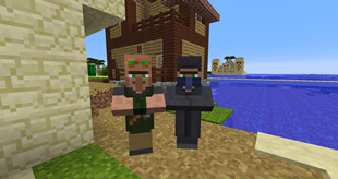 Shady Villagers