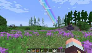 Lavender Fields to Forests