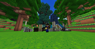 Some Items In The Mod