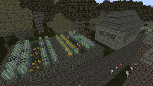 poor vilage