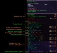 Auctioneer_Tooltip_Showing_All_Active.jpg