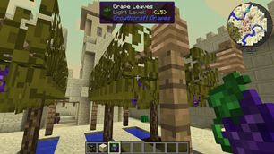 grapes