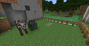 Spawnercraft