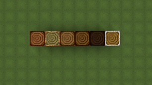 Top of Logs