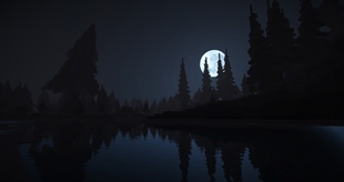 Wolion 128 HD - night scene