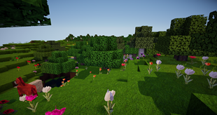 Wolion 128 HD - flower power