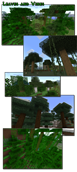 leavesandvines