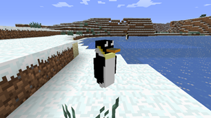 Emperor Penguin