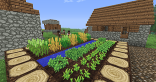 textvillage