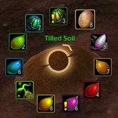 plant.jpg