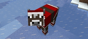 A Christmas Cow in his natrual habitat