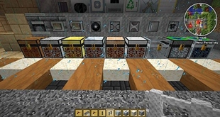 chests