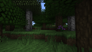 Friendly Forest