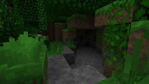 Below the Jungle