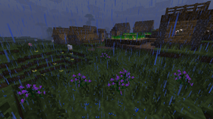 Rainy Village