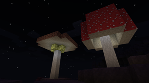 Mushroom Biome