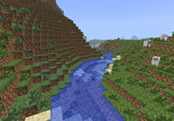 A New World