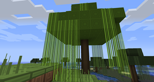 Tree with vines