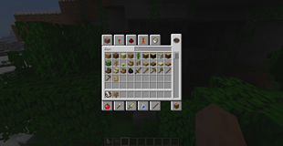 from Minecraft 1.3.2 #9