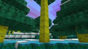 Coral Tree