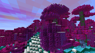 Coral Forest